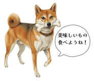 841725595