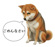 841725610