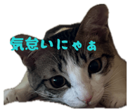 841729883