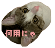 841729888