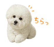 841730055