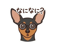 841730073