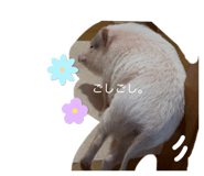 841730165