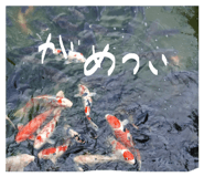 841730363