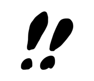 841730637