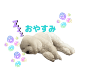 841730933