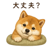 841731110