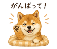 841731111