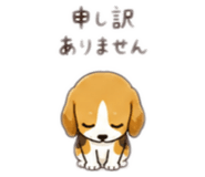841731243