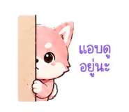841731891