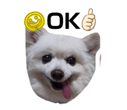 841731944