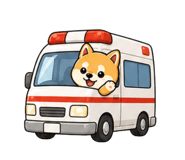 841742379
