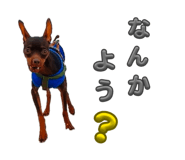 841743265