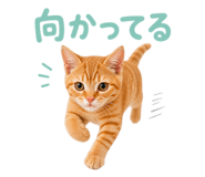 841743642