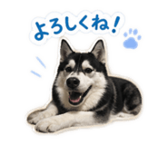 841744775