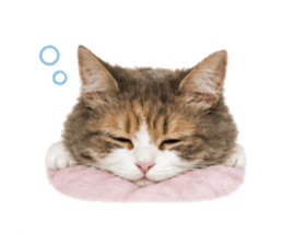 841744928