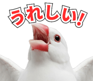 841760915