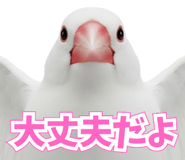 841760926