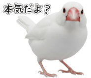 841760931