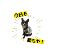841762032