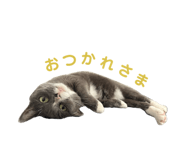 841762034