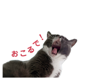 841762040