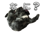 841762165