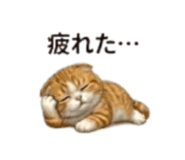 841762437