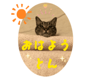 841762453