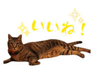 841762462