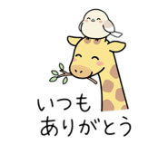 841762578