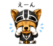 841762818