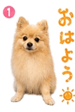 841763817