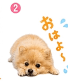 841763818