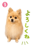 841763825