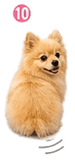 841763826