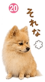 841763836