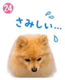 841763840