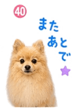 841763856