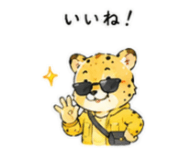 841764447