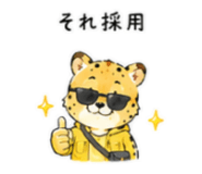 841764462