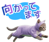 841764958