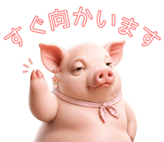 841766367