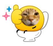 841766626