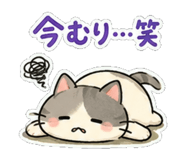 841766823
