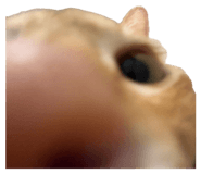 841767593