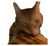 841767599