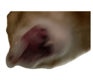 841767600
