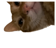 841767601