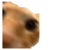 841767602